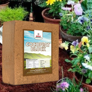 Cocopeat Block (5 KG)